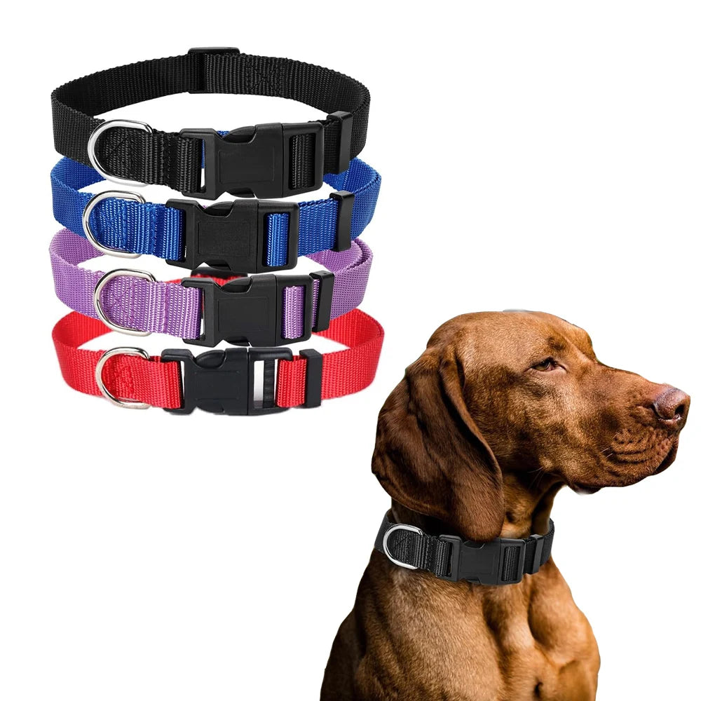 Nylon Webbing Dog Collar Heavy Duty Clip Buckle Pet Collar for Small Medium Dogs Chihuahua Dog Red Black Blue Purple 20